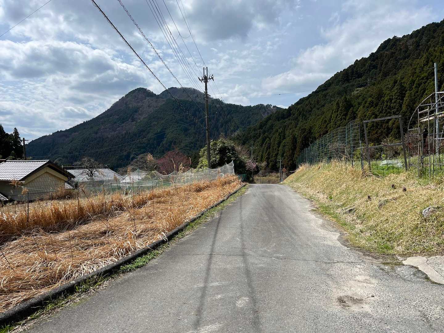 尖った山が額井山かな。