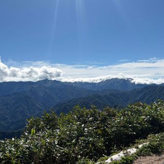 本山〜大日岳はガスとお戯れ中