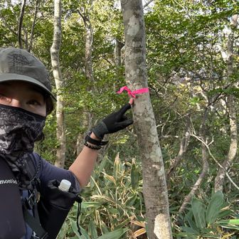 ハナヌキ峰のピーク⛰️
10分の寄り道ですが登っている人いませんでした。山頂標識なし。