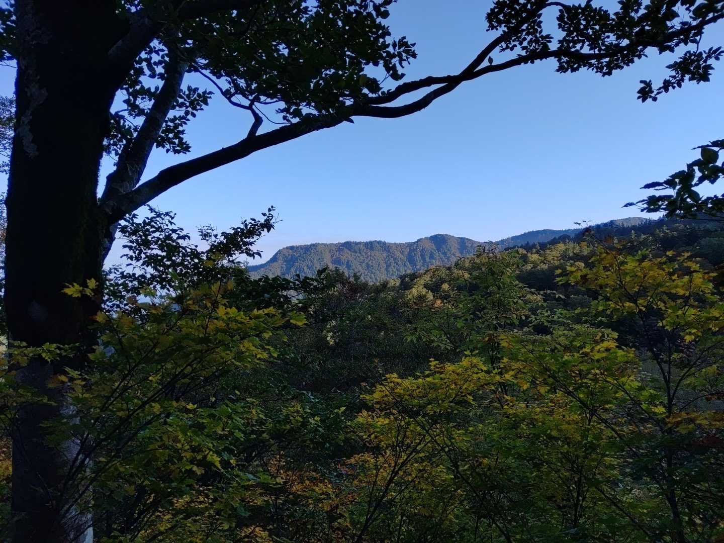 山頂駅-神楽ヶ峰-苗場山-苗場山神社 縦走コースの写真
