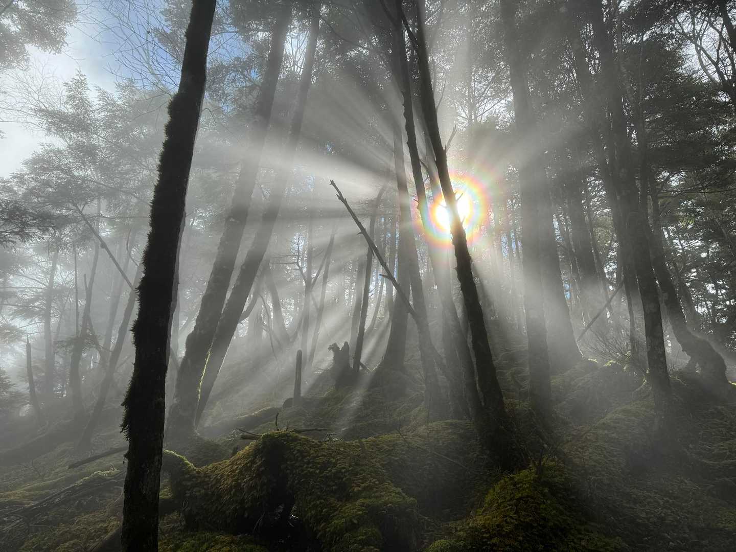 すずらん昆虫館前バス停-牛奥ノ雁ヶ腹摺山-小金沢山-天狗棚 縦走コースの写真