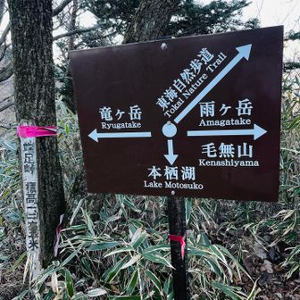 左の竜ヶ岳に行きたかったが斜めの↗️東海自然歩道で帰ります💔