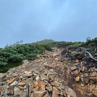 山頂がみえてきたぁー💪
