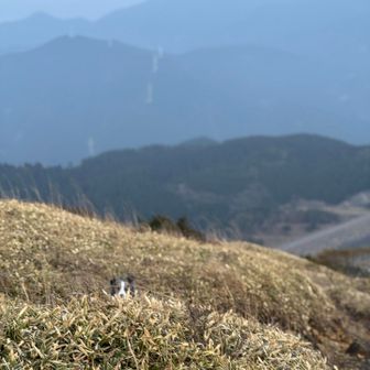 ルークを探せ👀