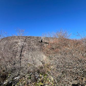 ペラペラ石は真ん中が割れてる