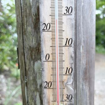 27℃🌡️
ギリギリかな🤣