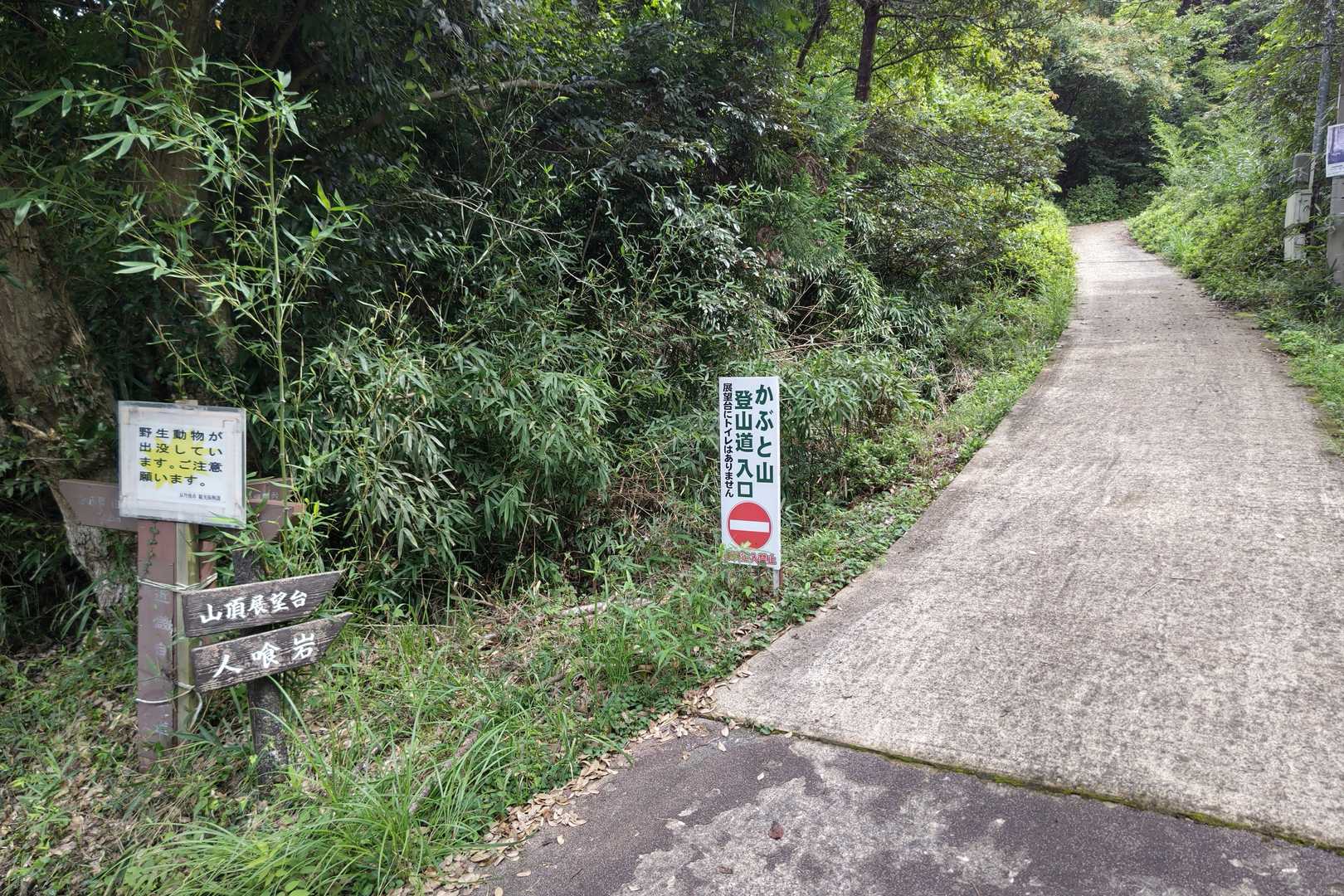 ここから登ります🚶💨