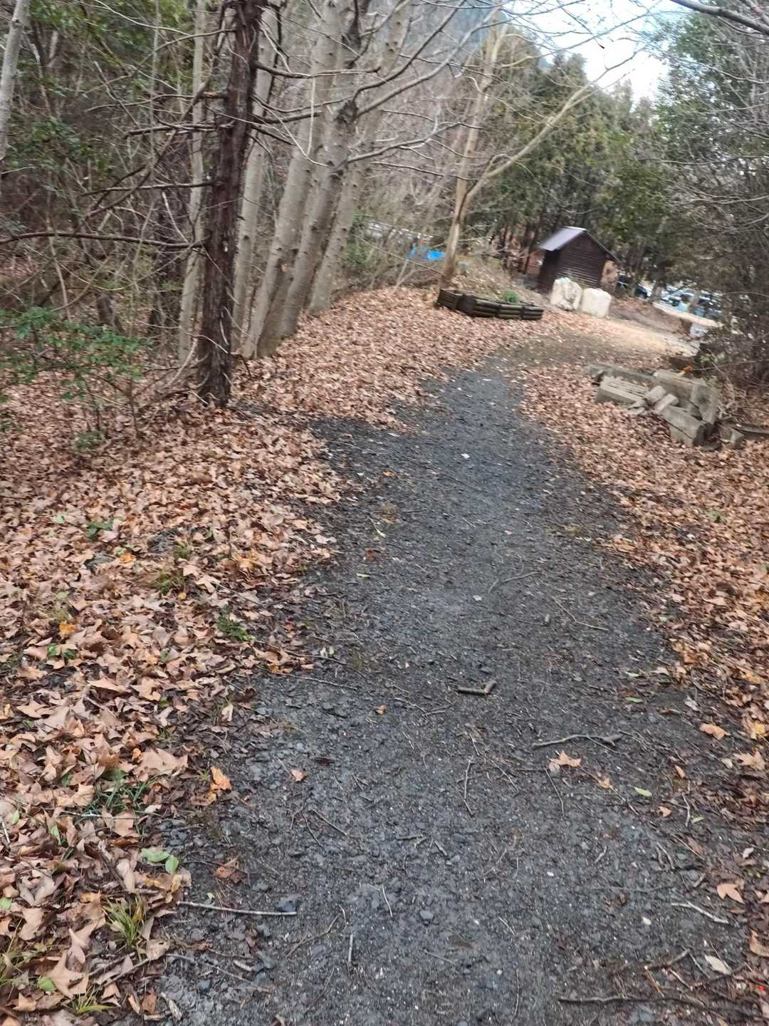 天山 往復コースの写真
