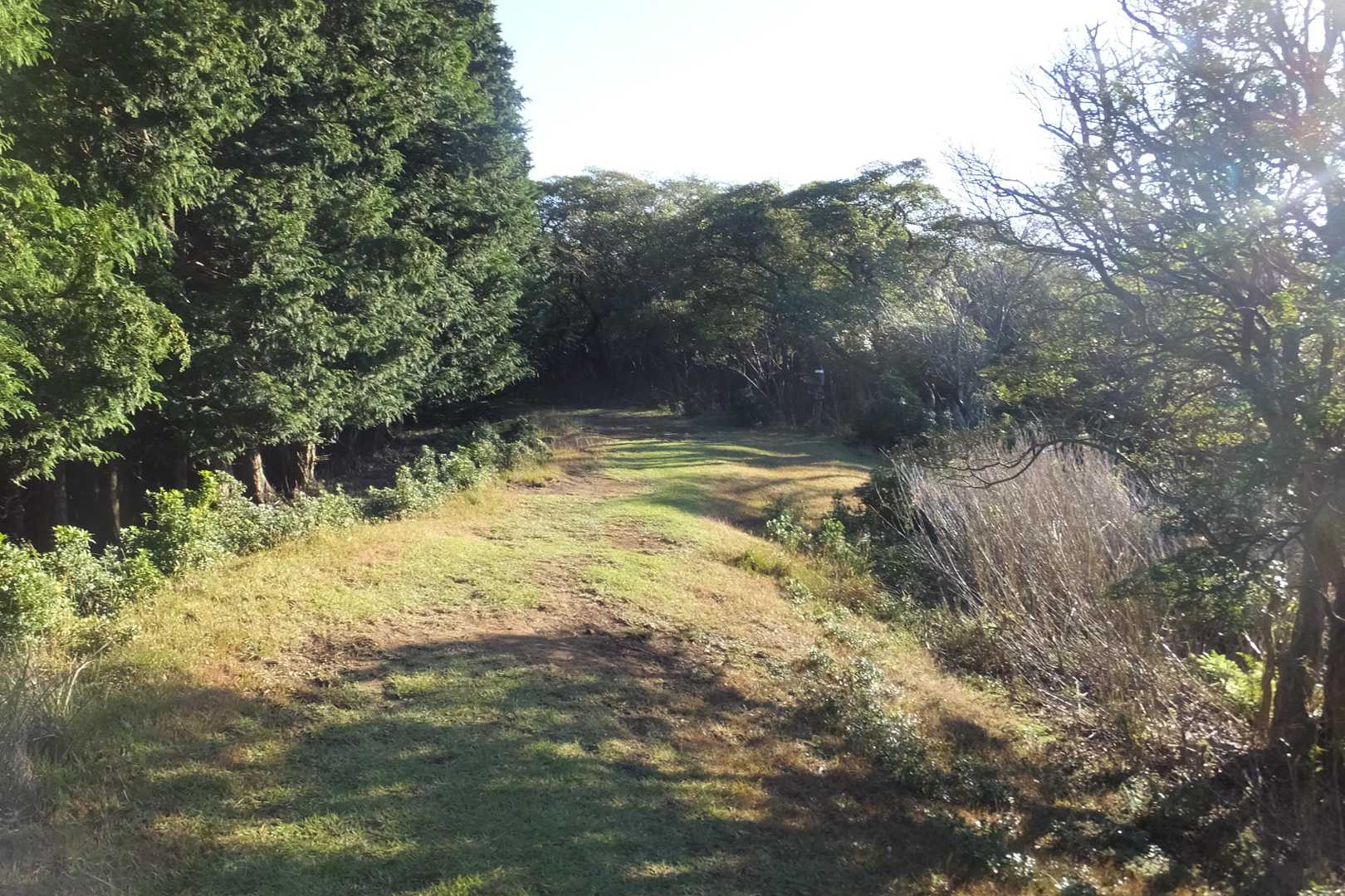 歩きやすい道２