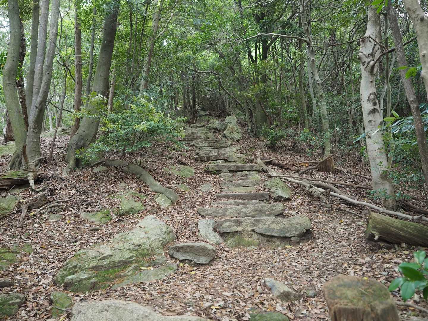 三上山登山道入口-三上山 周回コースの写真