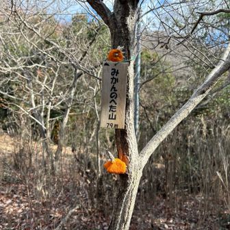 そして5つ目は…🍊。今まで見た山名の中では一番ユニークかもしれない😁。