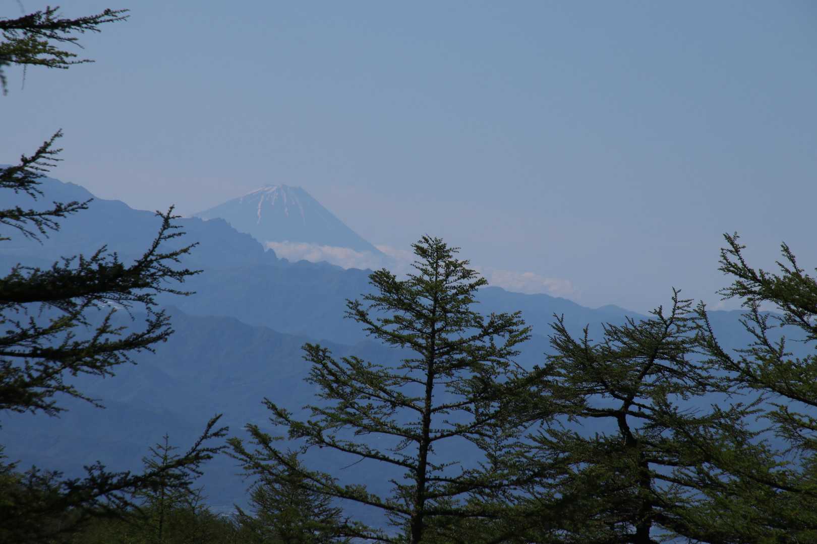 湿原入口から富士山確認