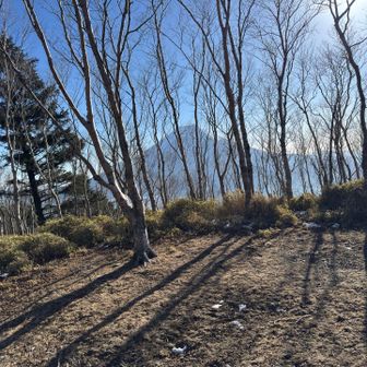 ココはこんな感じ🗻