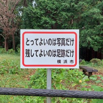 つっちー五郎岳