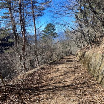 下山は長距離こんな道で楽すぎた