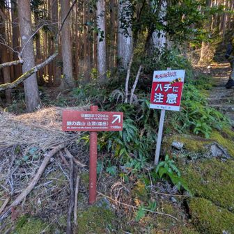 蜂🐝🐝、今の時期はいないよね(^.^;