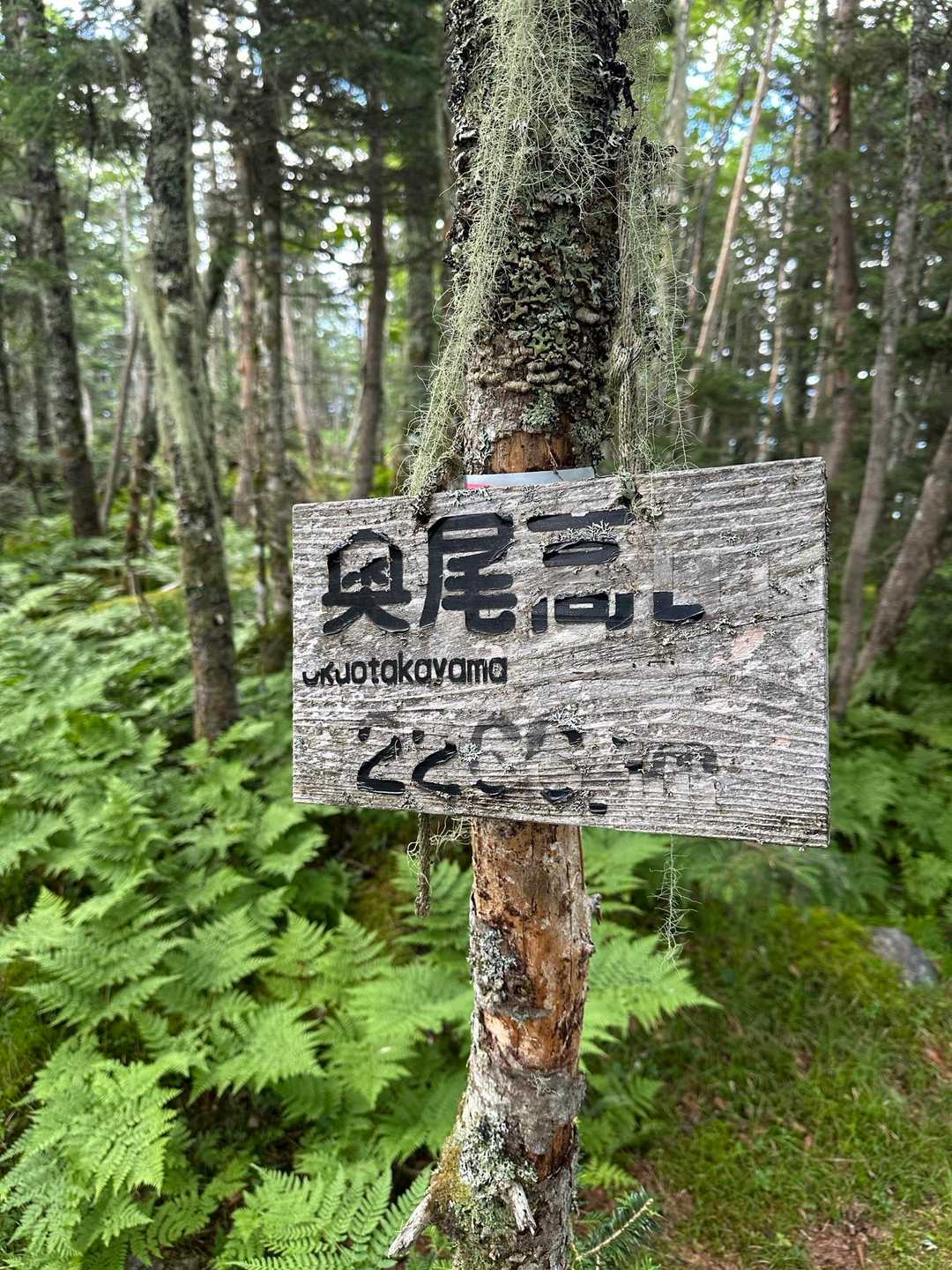 奥尾高山登頂の証