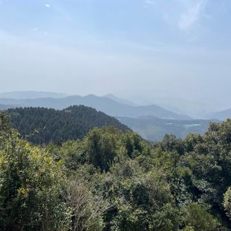 少し霞んでいますが良しとしましょ〜♬