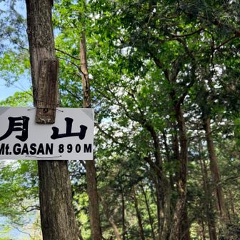 すぐに月山🙌
あとは下山するだけ…と少し安堵の気持ち。