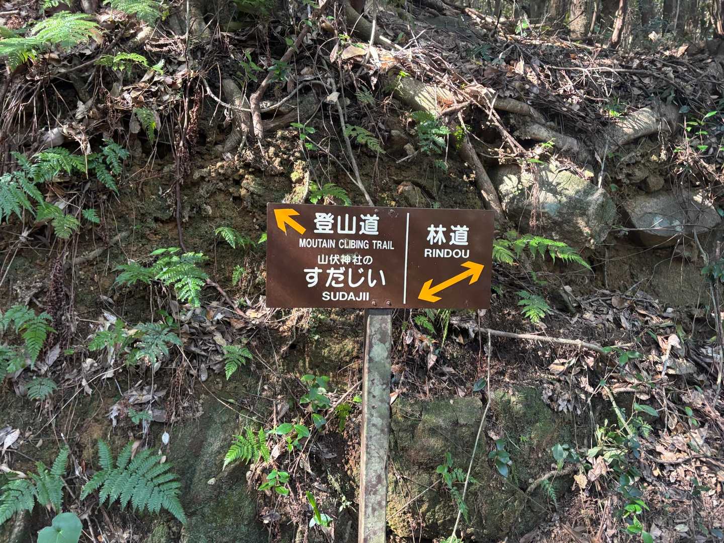 少し寄り道してすだじいを見に