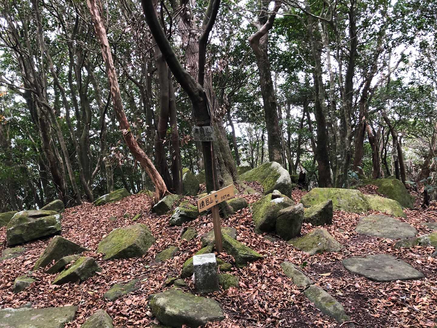 そんでもって遠目山⛰ 参上✨