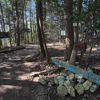 権現山山頂。
