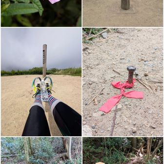 ヒルガオ。

六甲山最高峰の柱。

鉄杭注意。

有馬側の登山口。
虫地獄。炭酸地獄。