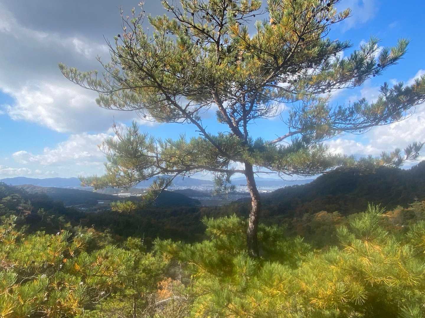 上桐生登山口-天狗岩 周回コースの写真