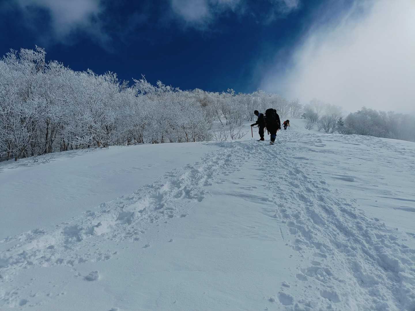 一ノ鳥居登山口-携帯トイレブース-飯縄山-霊仙寺山 往復コースの写真