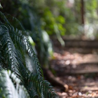 前回は、この辺りから鳥の群れ🐦️