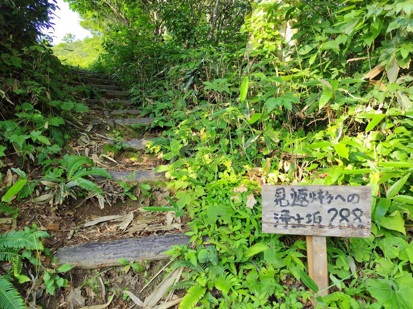 まずは見返り杉までの288段を登ります