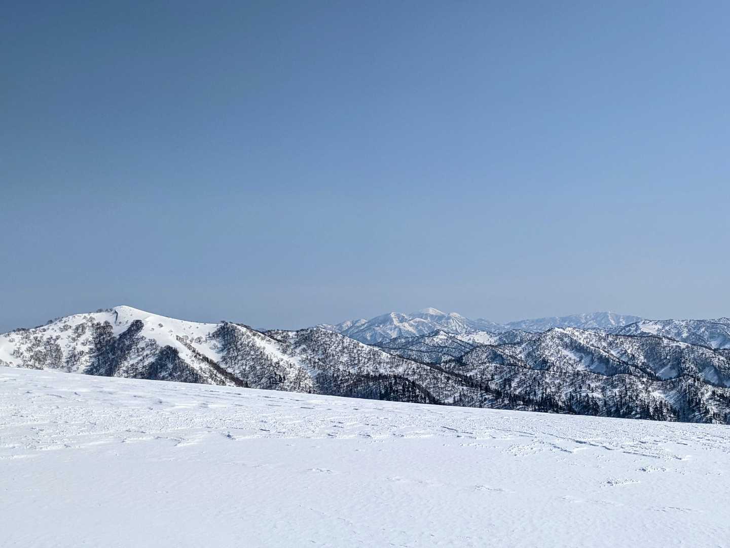 今日はどこ見てもいいわ