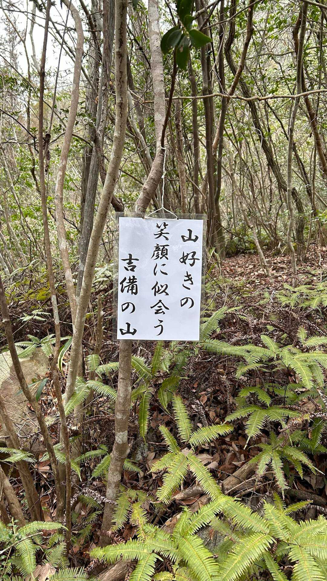 所々にありました🌸こういうの嬉しい！