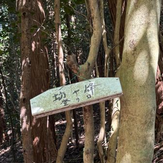 本坂峠着
いざ坊ケ峰へ