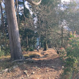 この辺り風が強くてさぶかた🥶