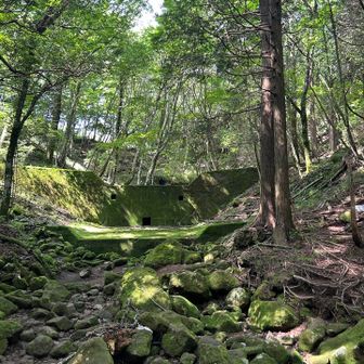 コケコケ〜🌿.∘