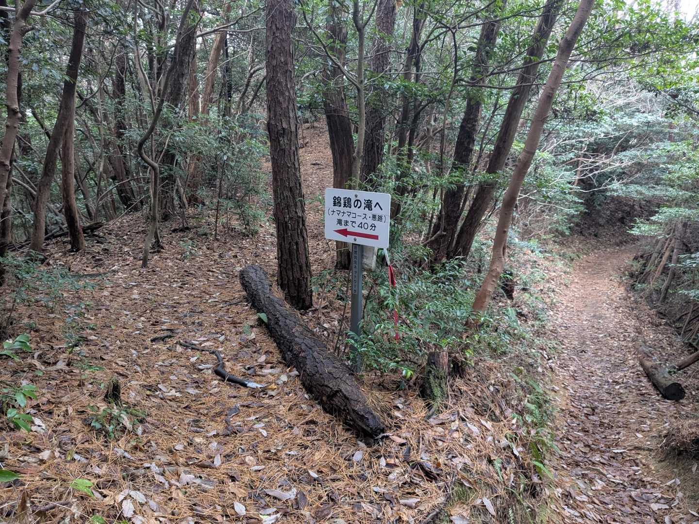 ここも、今日は素直に二ツ堂登山口へ