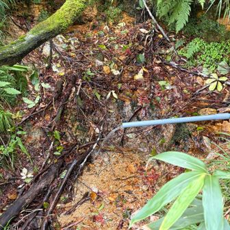 戻ってきて、鉾立の水
足場が悪く、ロープあり。
水の流れる先はすぐ崖になってます