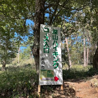 るり渓郷の駅の近くの登山口からスタート😊