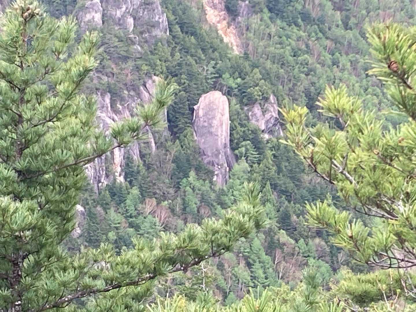 すごい✨🧗‍♀️