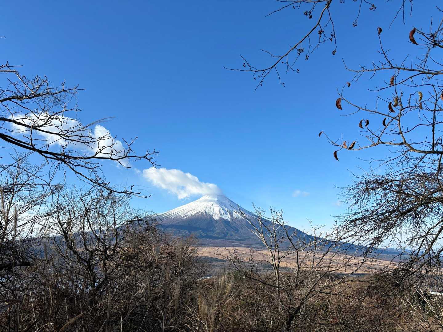 穏やかな富士山🗻です😊