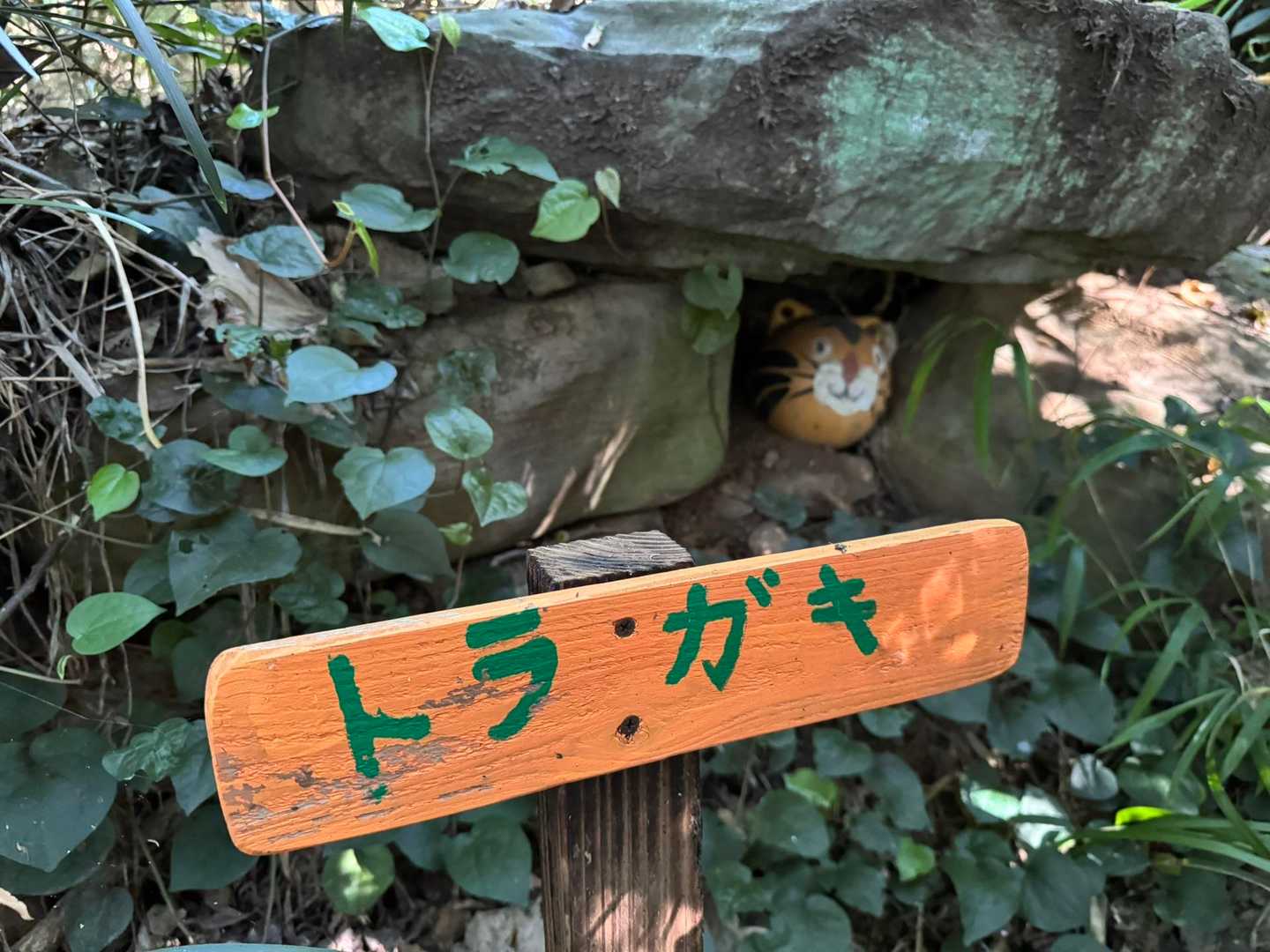 遠見山登山口-遠見山-小鷹神社 周回コースの写真