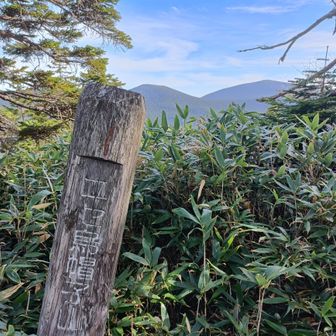 ニセ烏帽子山