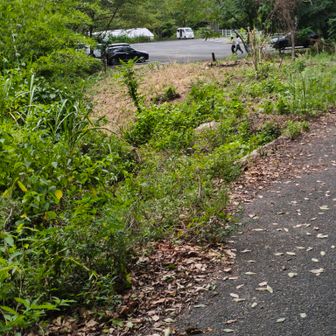 帰ってきた。お疲れ様でした。