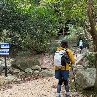 橋渡ります。