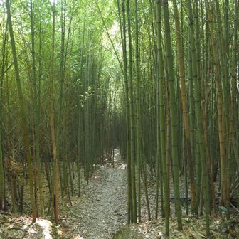 陽光の入り方もいいな