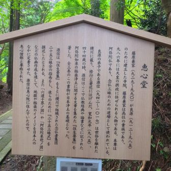 ここの景色が一番良かった