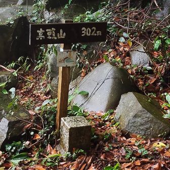 高頭山(たかずやま)⛰️山頂に到着
山頂標識と三角点。