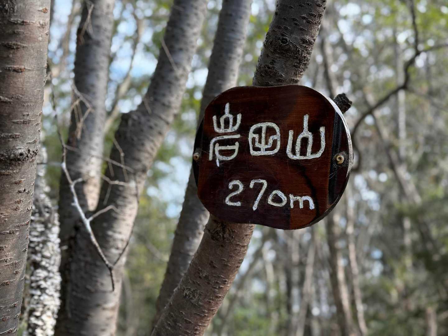 結構な急登を登って岩田山⛰️💦2座目