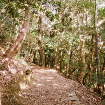 岩国城までの山道は
さすがに道が綺麗！